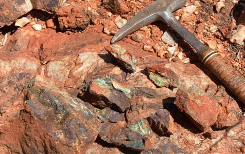 TNG signals intent with GPP