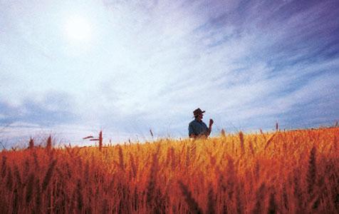 Drought loans available in WA