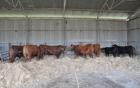 State looks to dining boom: Premier