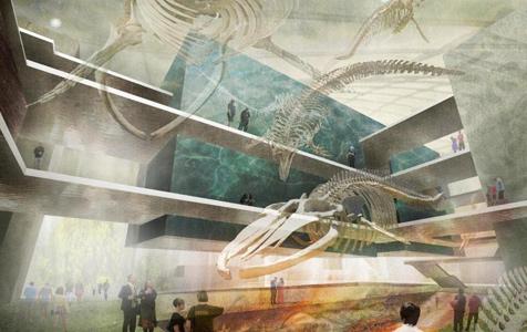 Builders sought for $430m museum