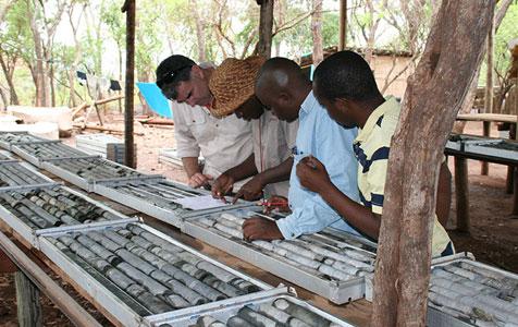 IMX up on nickel interest