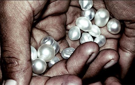 Atlas Pearls loses some shine in half-year report