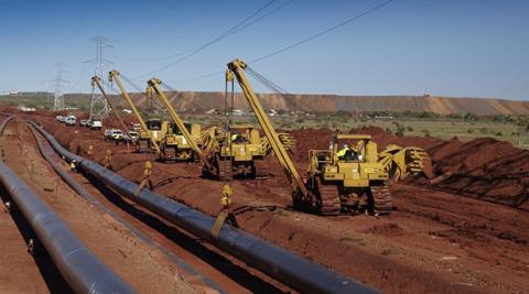 Immigration raids office over alleged visa fraud