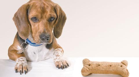 Give yourself a break, be productive