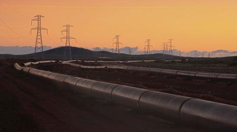 Murphy denies visa fraud allegations