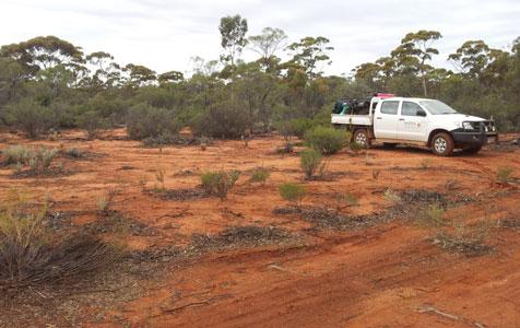 Mt Ridley to raise $3.2m