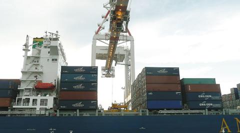 Price falls hit exports