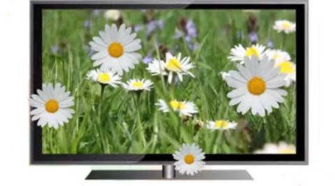 DDD claims patent breach against LG