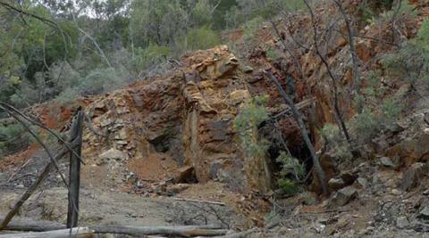 Fitzroy to become tech firm