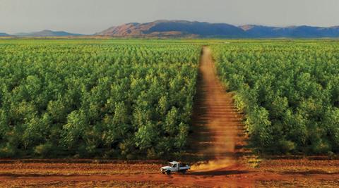 TFS resolves audit, lifts profit