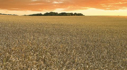 Asian demand feeds Elders’ growth