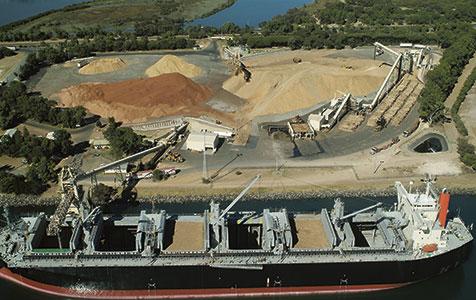 Plantings plateau, woodchip sales up