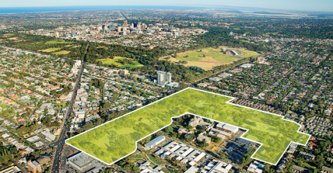 Cedar Woods opens new frontier with SA project