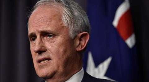 Turnbull brings business acumen