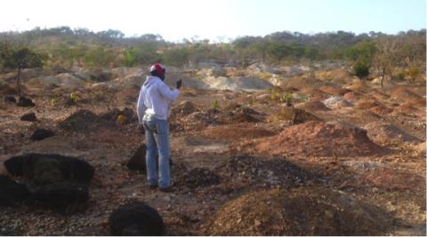 There's gold in them there hills