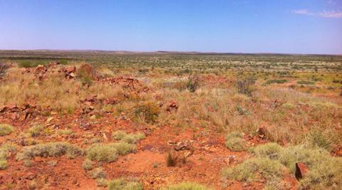 Rio to farm-in to WA gold project