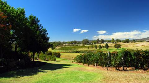 New guidelines to shape Swan Valley