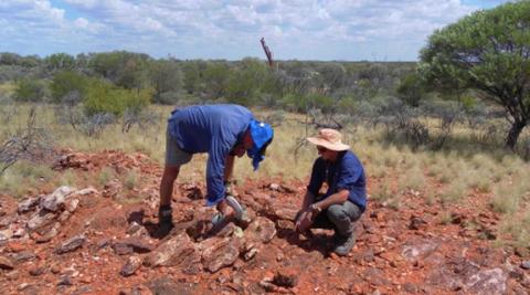 TNG, Caterpillar sign MOU