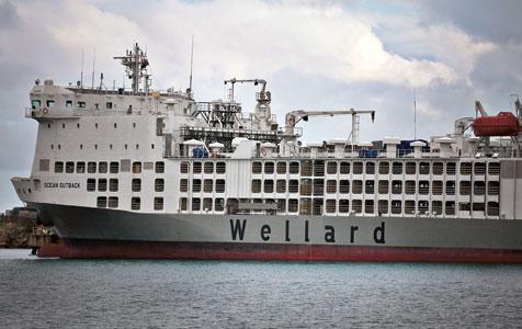 Wellard to raise up to $403m