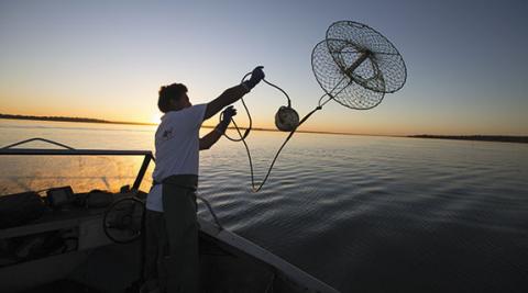 So fresh they're still biting