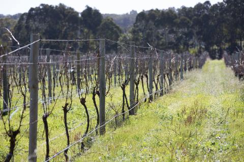 Mark my words podcast