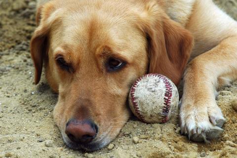 Holding the line on wages challenge