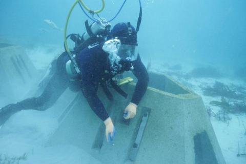 Abalone firm launches $5m fund campaign