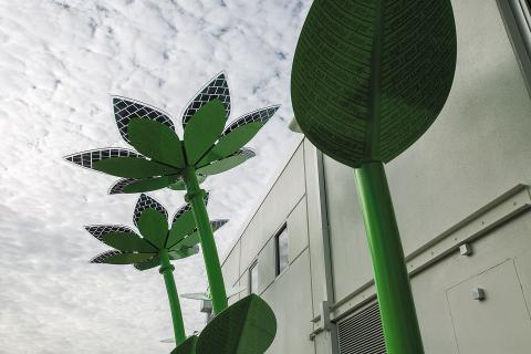 Mining tech boss backs Greens