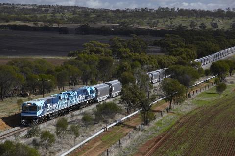 Competition challenge in grain exporting: ACCC