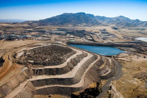 Shareholder pain in Paladin survival plan