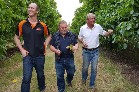 Horticulture thrives on  new markets, investment