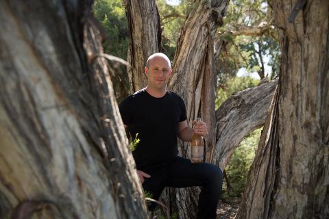 Supply potential for organic wines