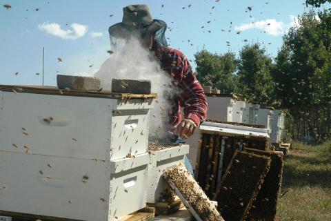 Licensing reform a cost saver