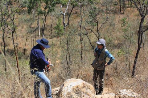 Marindi shares jump on Japanese MOU