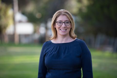 Saffioti plans taking shape