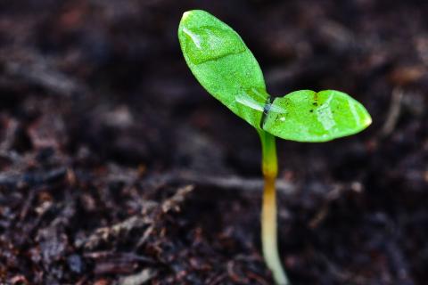 Is the data telling us WA has turned the corner?