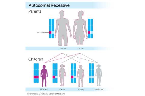 How to stop families playing genetic roulette