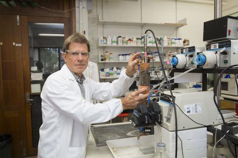 Bacteria drive wastewater efficiency