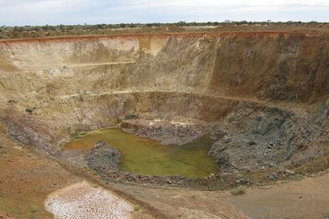 Kin slumps on project review