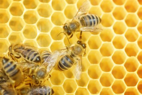 World domination or purpose and profit?