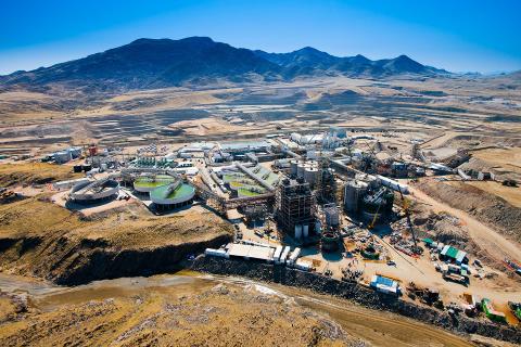 Paladin restructure the only option: Collins