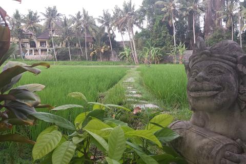 Helloworld takes $3m stake in Perth travel firm