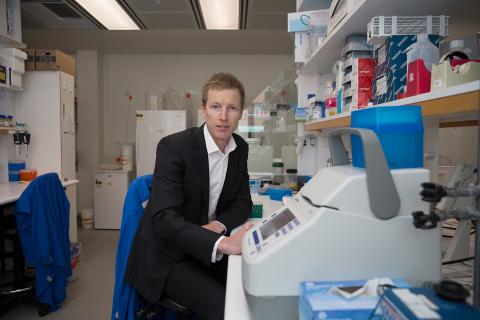 No hard cell for Phylogica