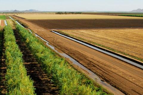 Quintis offered $175m recapitalisation deal