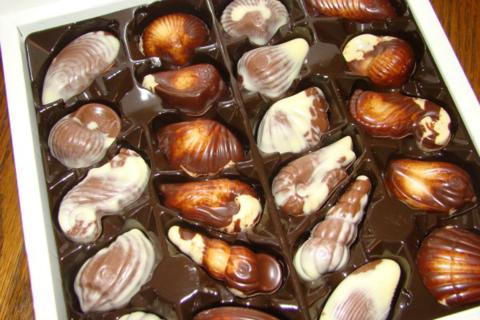 Chocolate cafe into liquidation