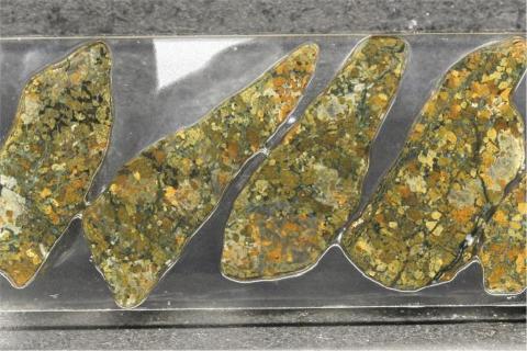 Legend gets nickel hint in Fraser Range