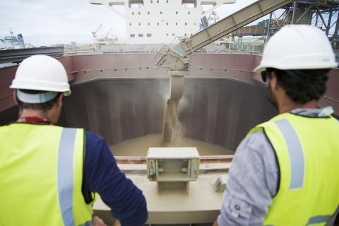 Bonanza grain harvest anticipated