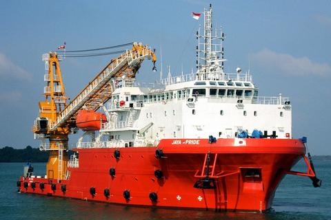 MMA flags tough 2019