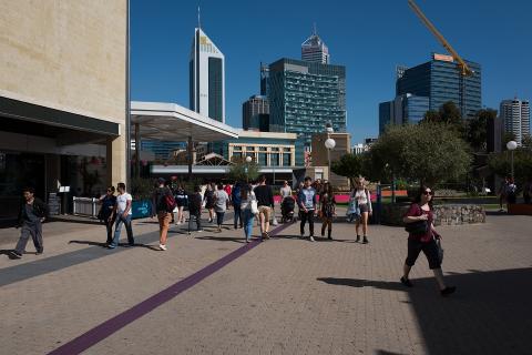 Big companies seen as big winners: Ceda poll