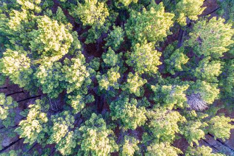 Targets are fine, just not on your back